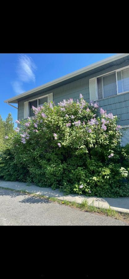 Lovely Two Bedroom, Minutes Away From Downtown Anchorage Extérieur photo